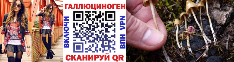 Псилоцибиновые грибы мицелий Томск